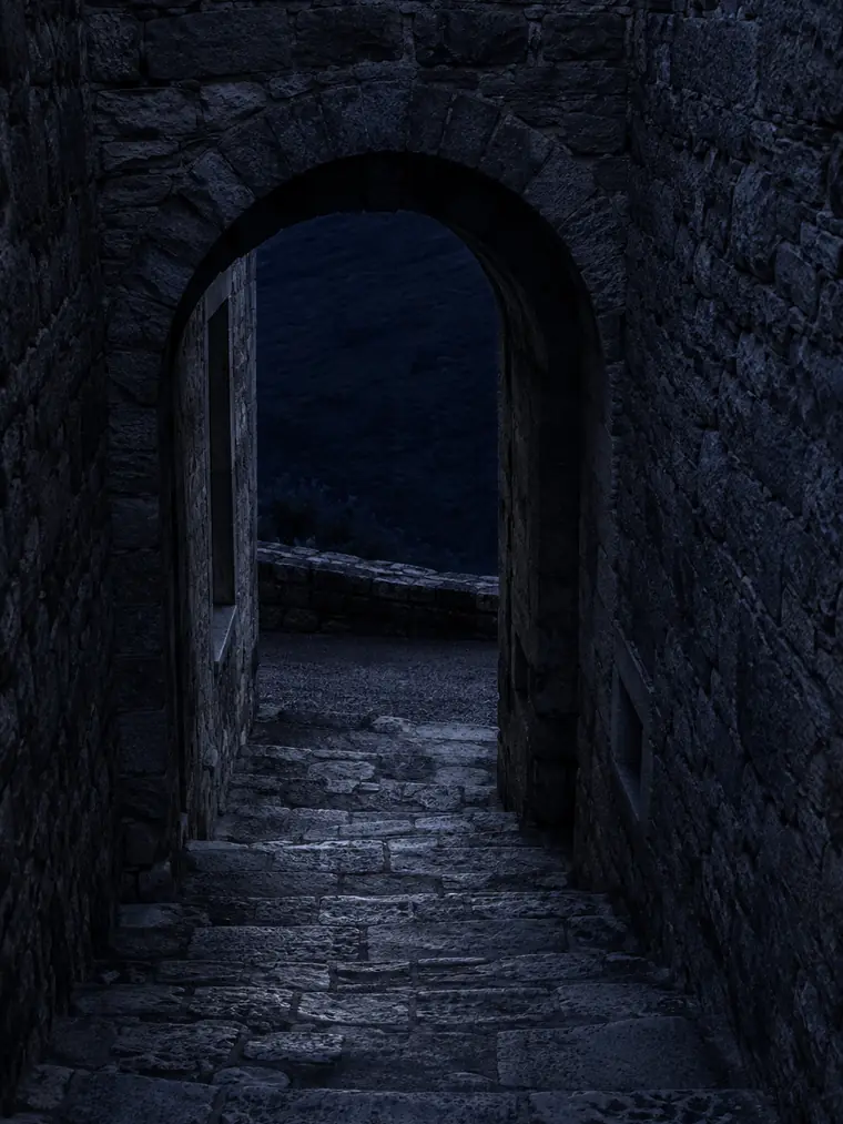 Ruelle voûtée en pierre du village médiéval de Grimaud, Var 83