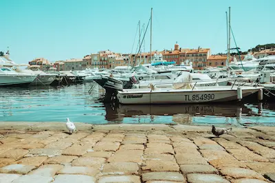 Port de Saint-Tropez avec yachts — Var 83