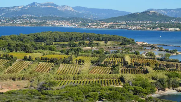 Vignobles AOC Côtes de Provence à Ramatuelle — domaines viticoles, Var 83